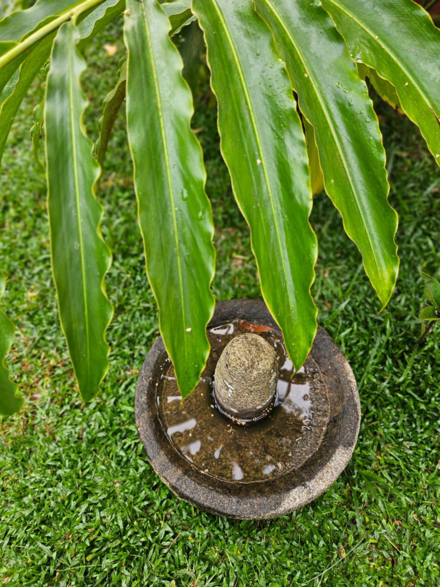 Villa Mia Mararikulam Luaran gambar