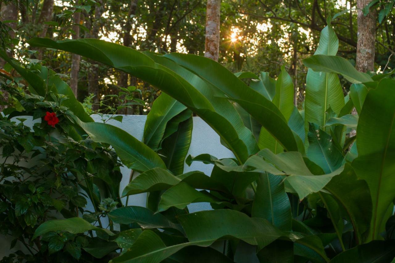Villa Mia Mararikulam Luaran gambar